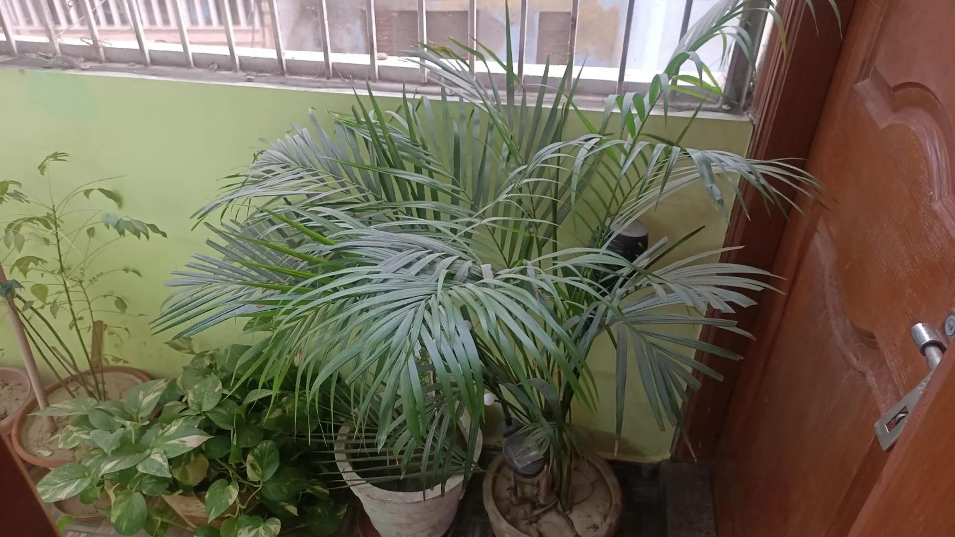 Kashi Darshan Bénarès Appartement